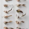 Sale Feathered Friends Christmas Ornament Collection Ornaments