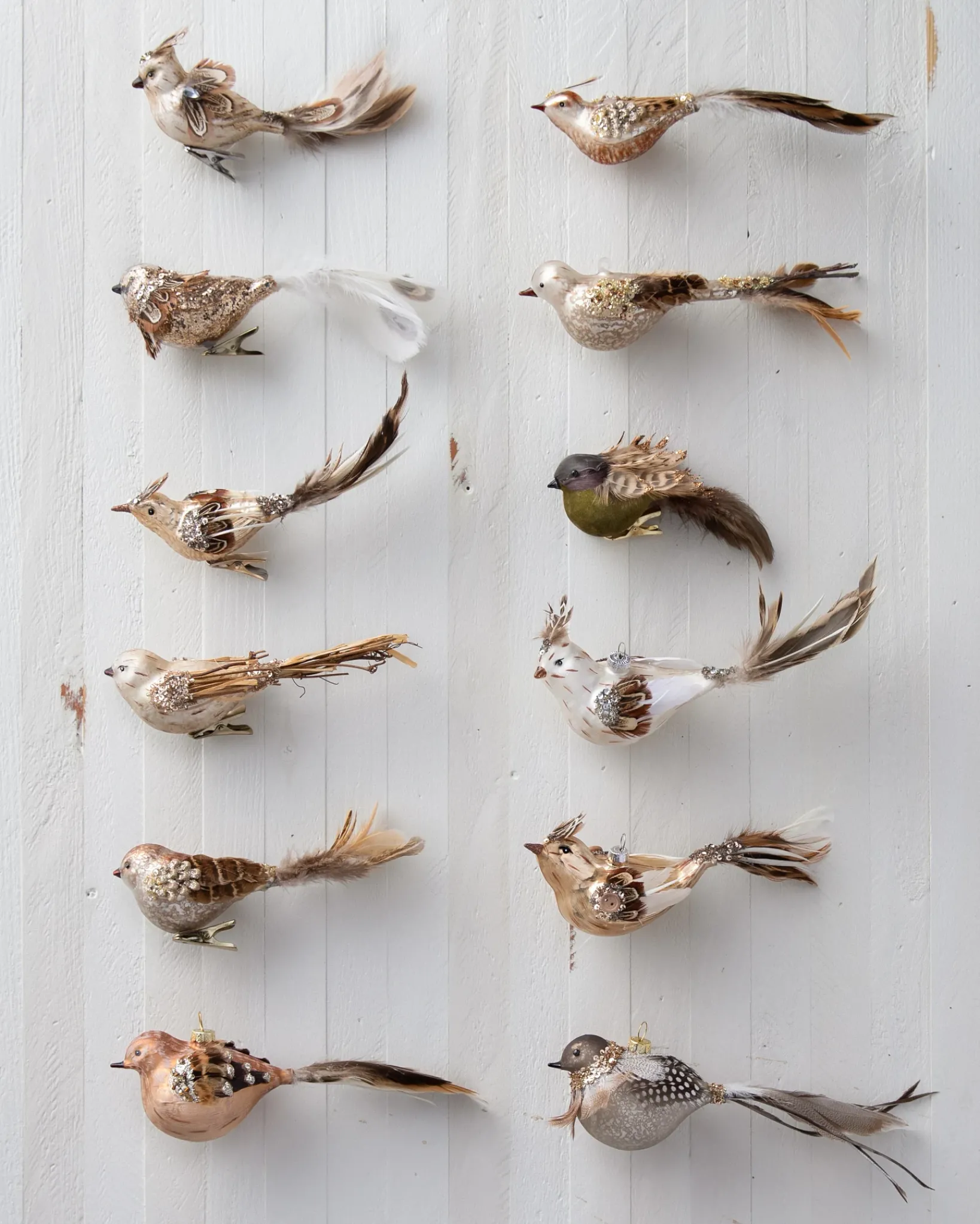Sale Feathered Friends Christmas Ornament Collection Ornaments