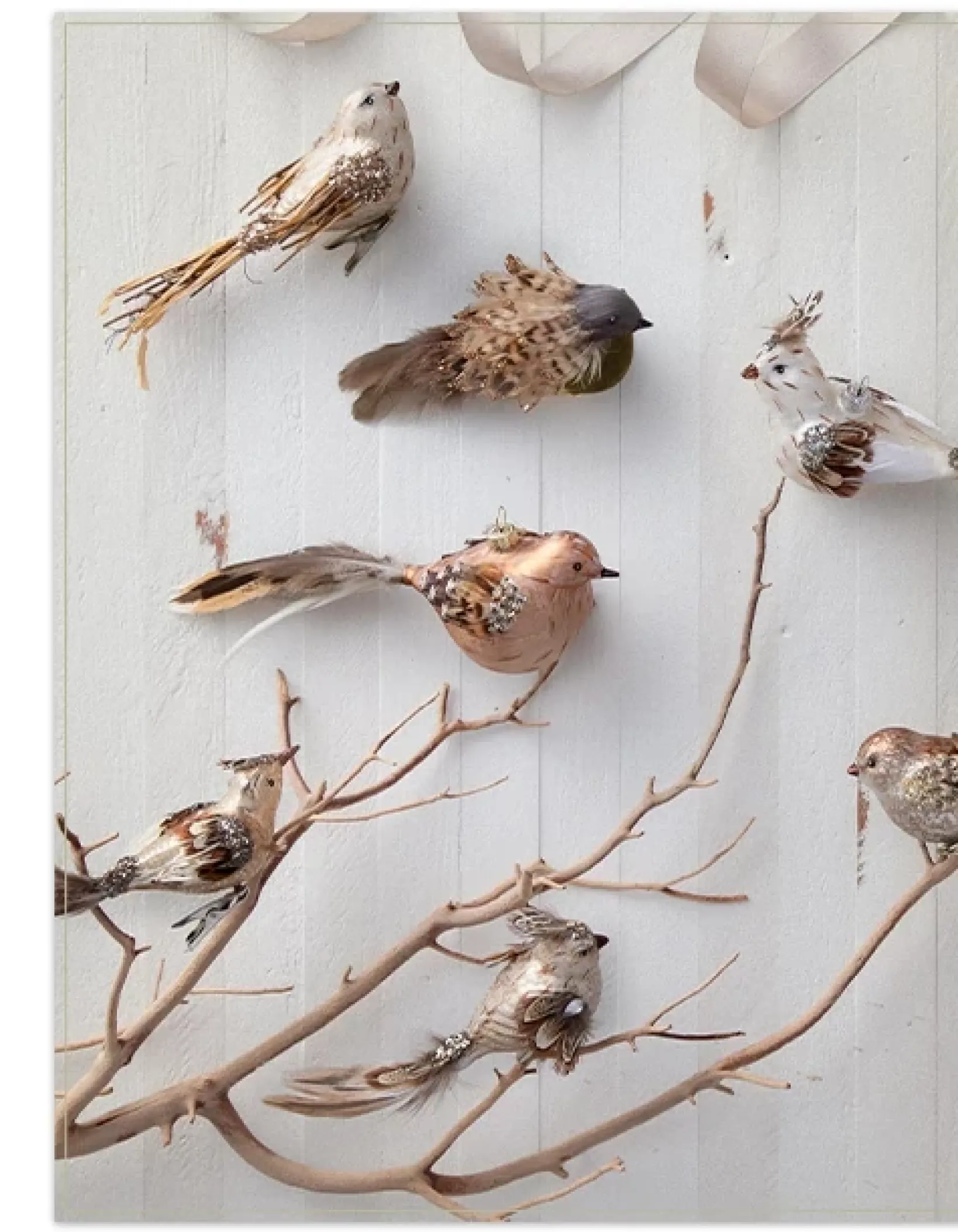 Sale Feathered Friends Christmas Ornament Collection Ornaments