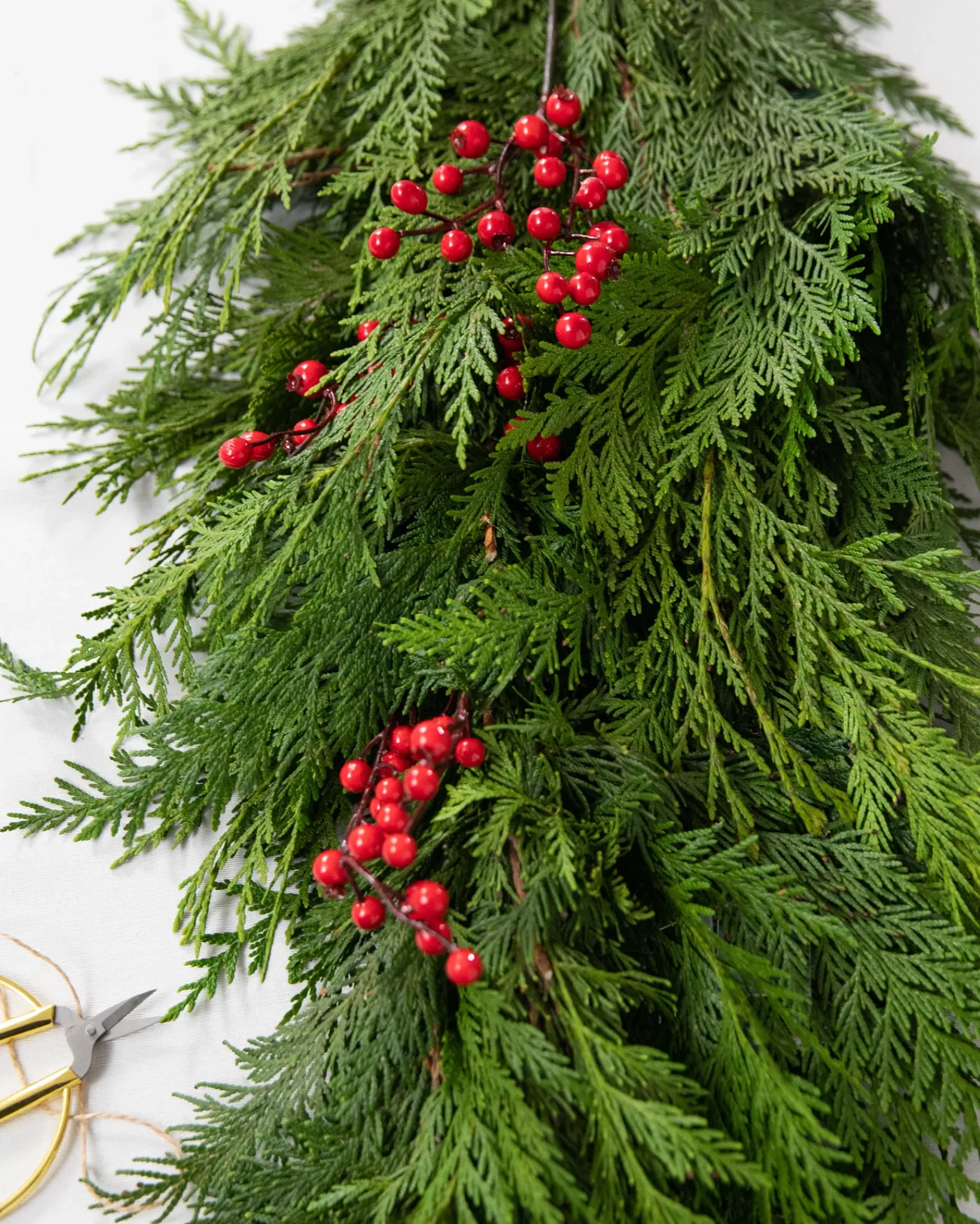 Best Fresh Cedar Grove Foliage 18 - 24 Inch