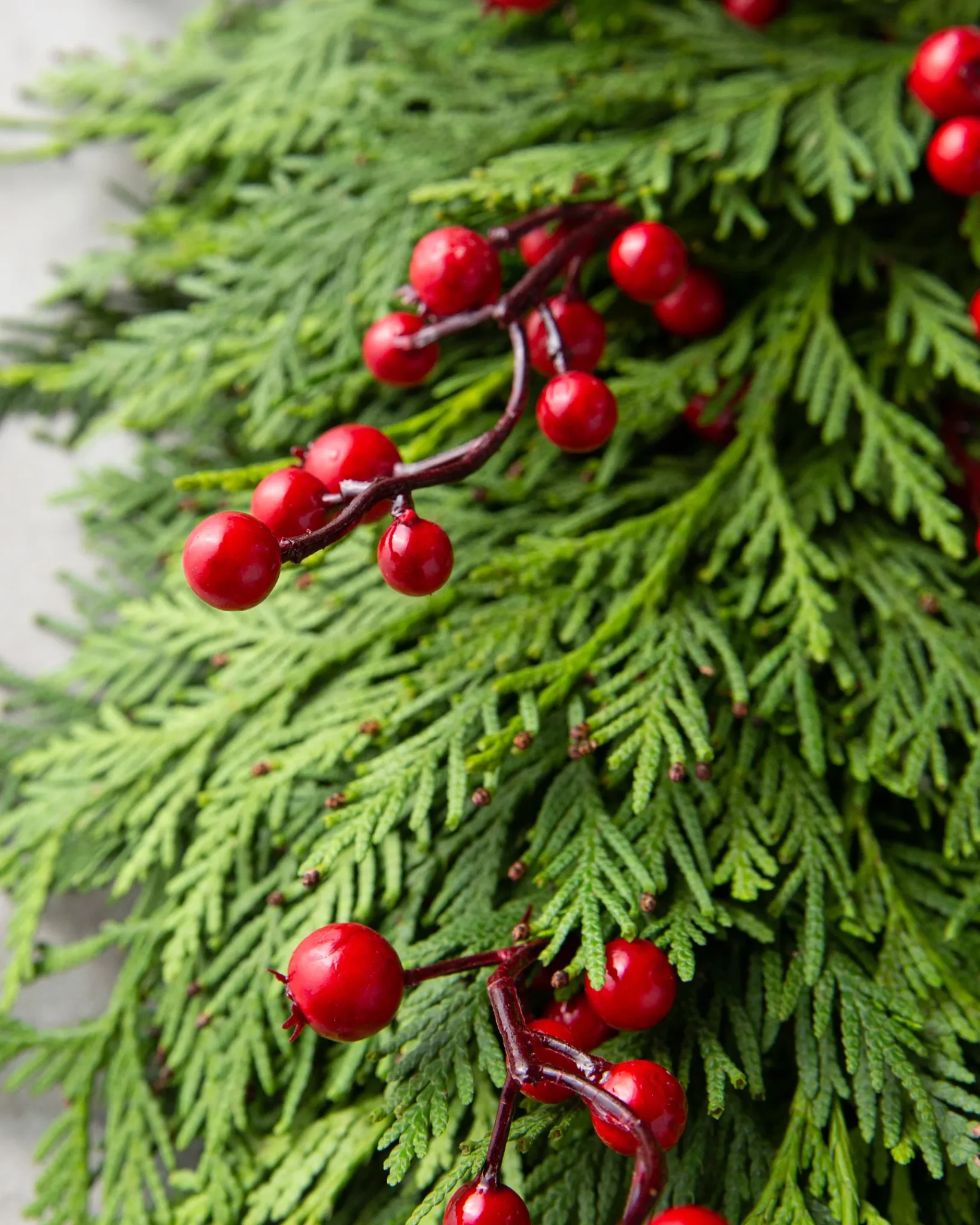 Best Fresh Cedar Grove Foliage 18 - 24 Inch