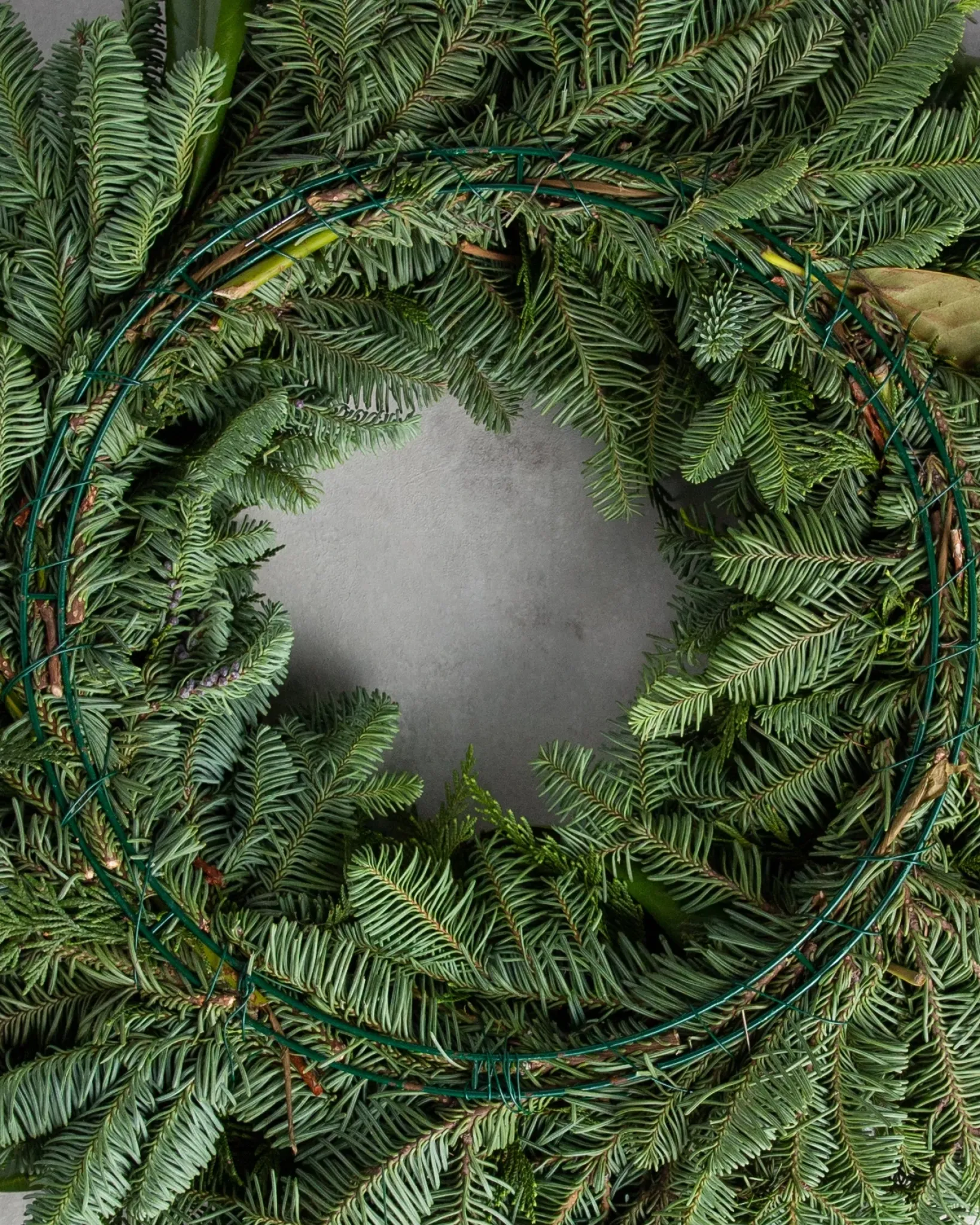 Outlet Fresh Cedar Pepperberry Lane Foliage 18 - 24 Inch