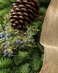 Online Fresh Evergreens & Juniper Berry Foliage 18 - 24 Inch|Outdoor Safe
