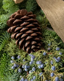 Online Fresh Evergreens & Juniper Berry Foliage 18 - 24 Inch|Outdoor Safe