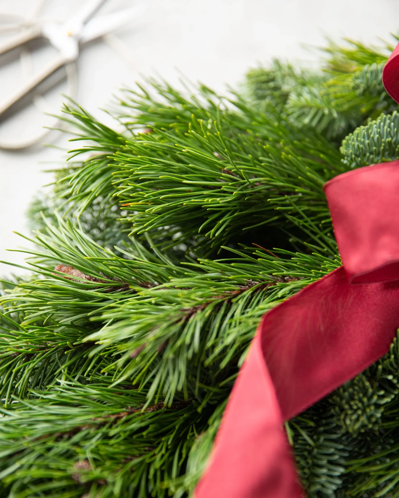 Sale Fresh Noble Fir Woodland Foliage 18 - 24 Inch|Outdoor Safe