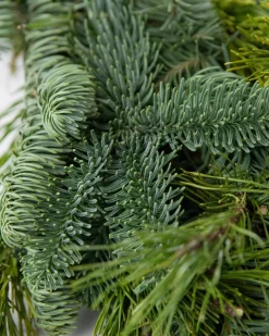 Sale Fresh Noble Fir Woodland Foliage 18 - 24 Inch|Outdoor Safe