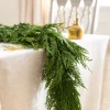 New Fresh Wispy Cedar Foliage 5 - 7 Feet|8 - 10 Feet