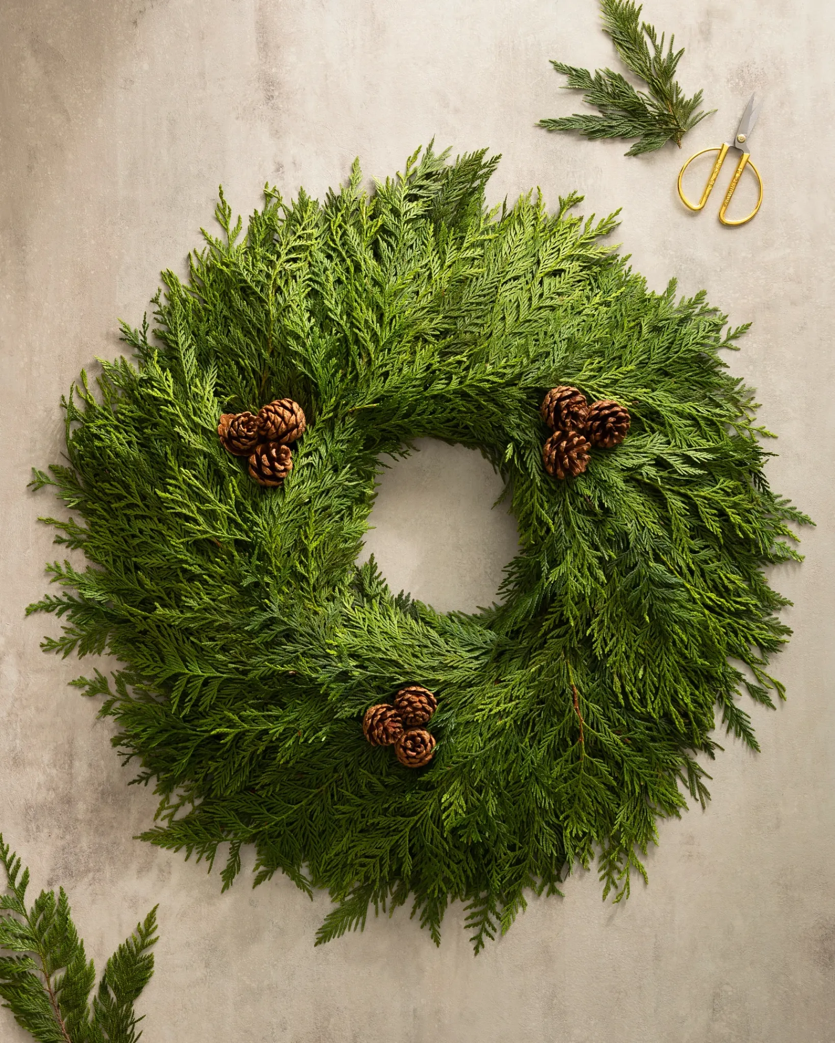 New Fresh Wispy Cedar Foliage 5 - 7 Feet|8 - 10 Feet