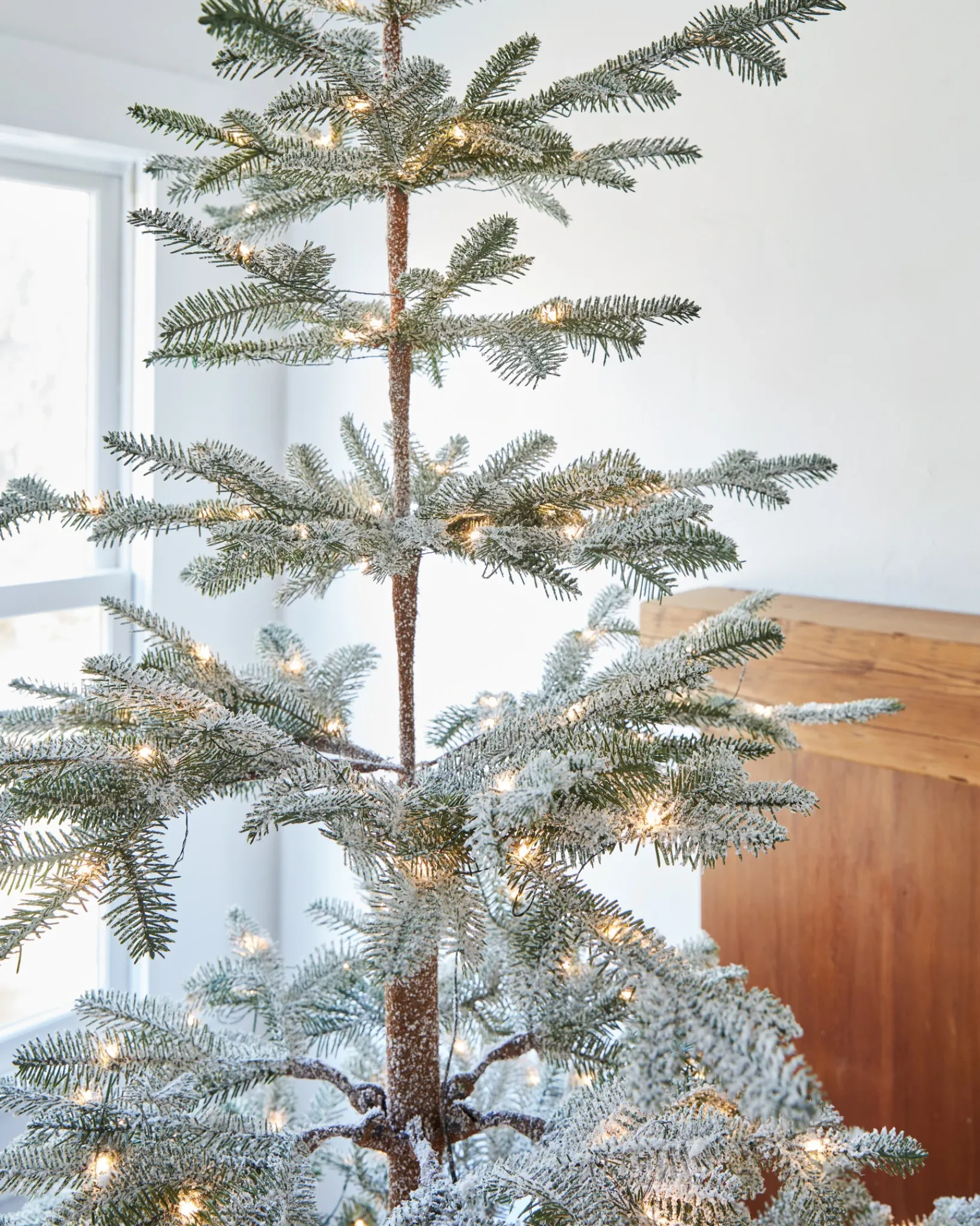 Hot Frosted Alpine Balsam Fir Trees 7 - 7.5 Feet|Under 6 Feet