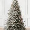 Best Frosted Sugar Pine Trees 7 - 7.5 Feet|Unlit