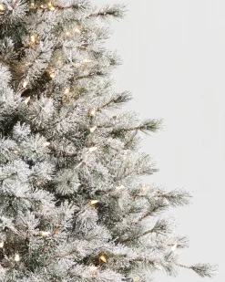 Best Frosted Sugar Pine Trees 7 - 7.5 Feet|Unlit