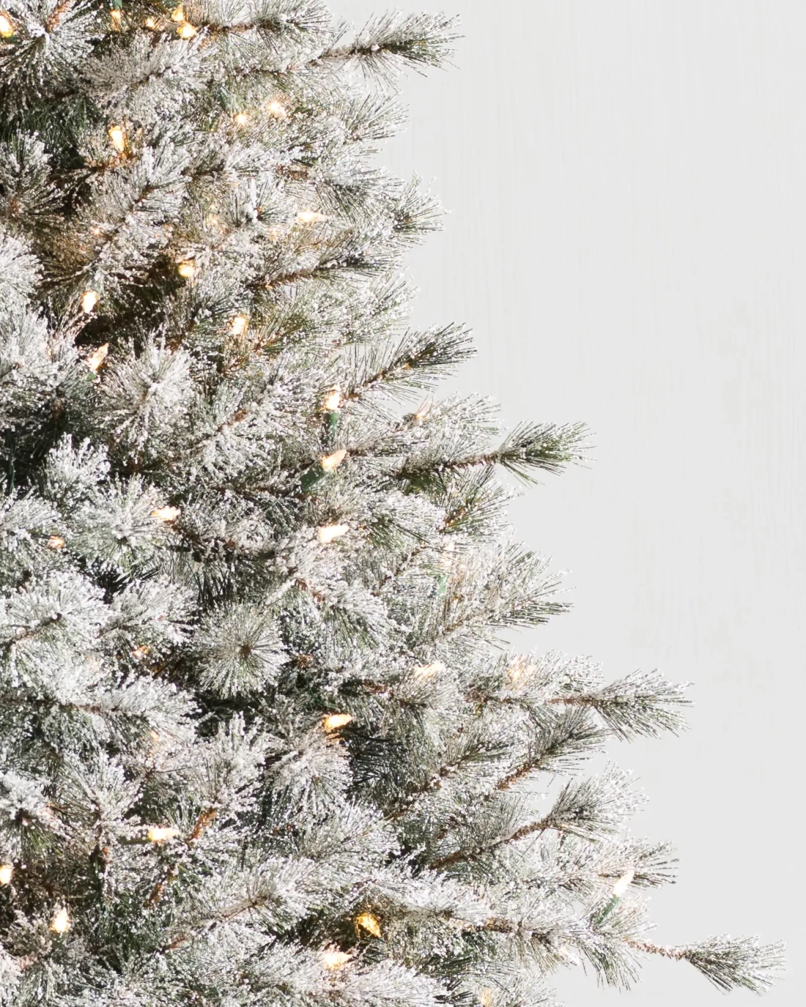 Best Frosted Sugar Pine Trees 7 - 7.5 Feet|Unlit