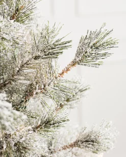 Best Frosted Sugar Pine Trees 7 - 7.5 Feet|Unlit