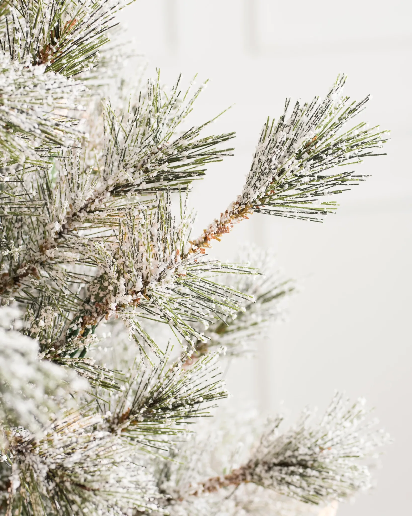 Best Frosted Sugar Pine Trees 7 - 7.5 Feet|Unlit