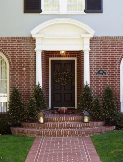 Sale Greenwich Estates® Pine Trees Outdoor Safe