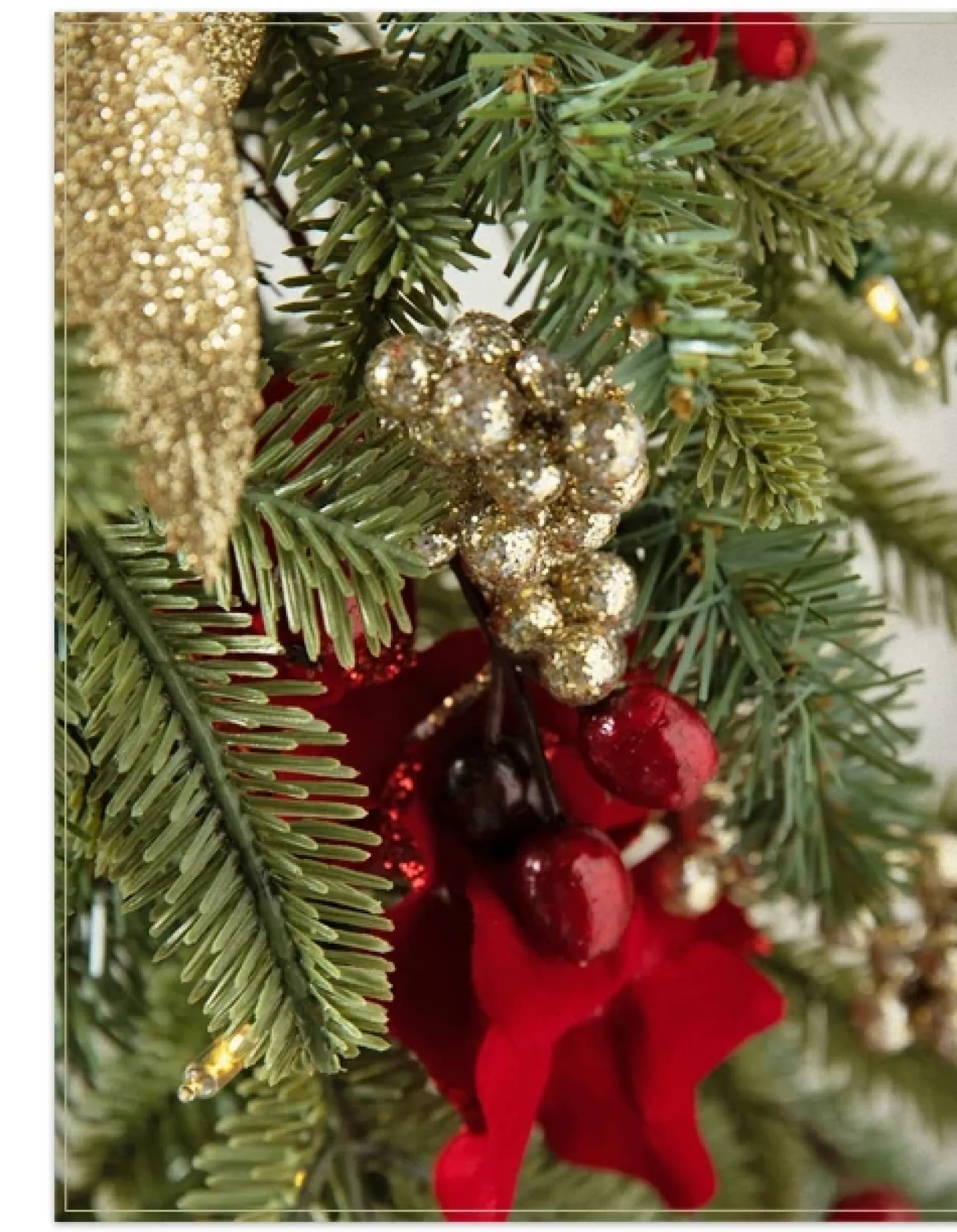 Discount Holiday Traditions BH Fraser Fir® Foliage 30 - 42 Inch