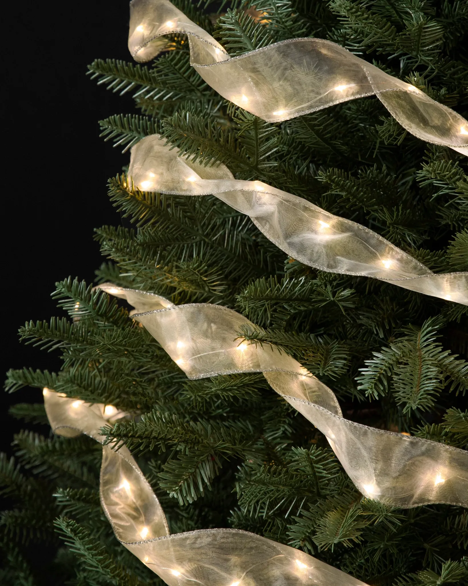 Best Lit Christmas Tree Ribbon Collection Ribbons