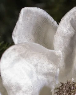 Sale Magnolia Christmas Tree Picks Picks