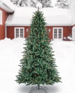 New Oakville Outdoor® Trees 7 - 7.5 Feet|6 - 6.5 Feet