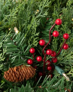 Best Outdoor Beacon Hill Cypress Foliage Outdoor Safe|Outdoor Safe