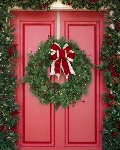 Best Outdoor Beacon Hill Cypress Foliage Outdoor Safe|Outdoor Safe