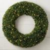 Hot Outdoor Boxwood Foliage 18 - 24 Inch|Outdoor Safe