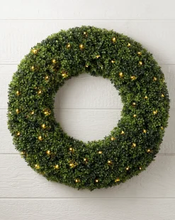 Hot Outdoor Boxwood Foliage 18 - 24 Inch|Outdoor Safe