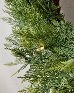 New Outdoor Cedar Woods Foliage 18 - 24 Inch|26 - 28 Inch