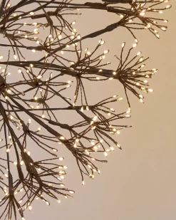 Sale Outdoor Cluster Fairy Starburst Lights Outdoor Lights