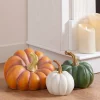 Best Outdoor Heirloom Pumpkins Decorative Accents|Decorative Accents