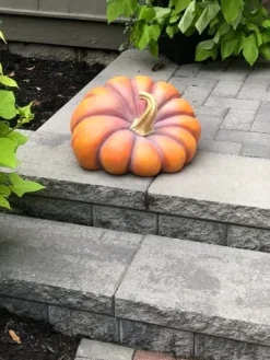 Best Outdoor Heirloom Pumpkins Decorative Accents|Decorative Accents