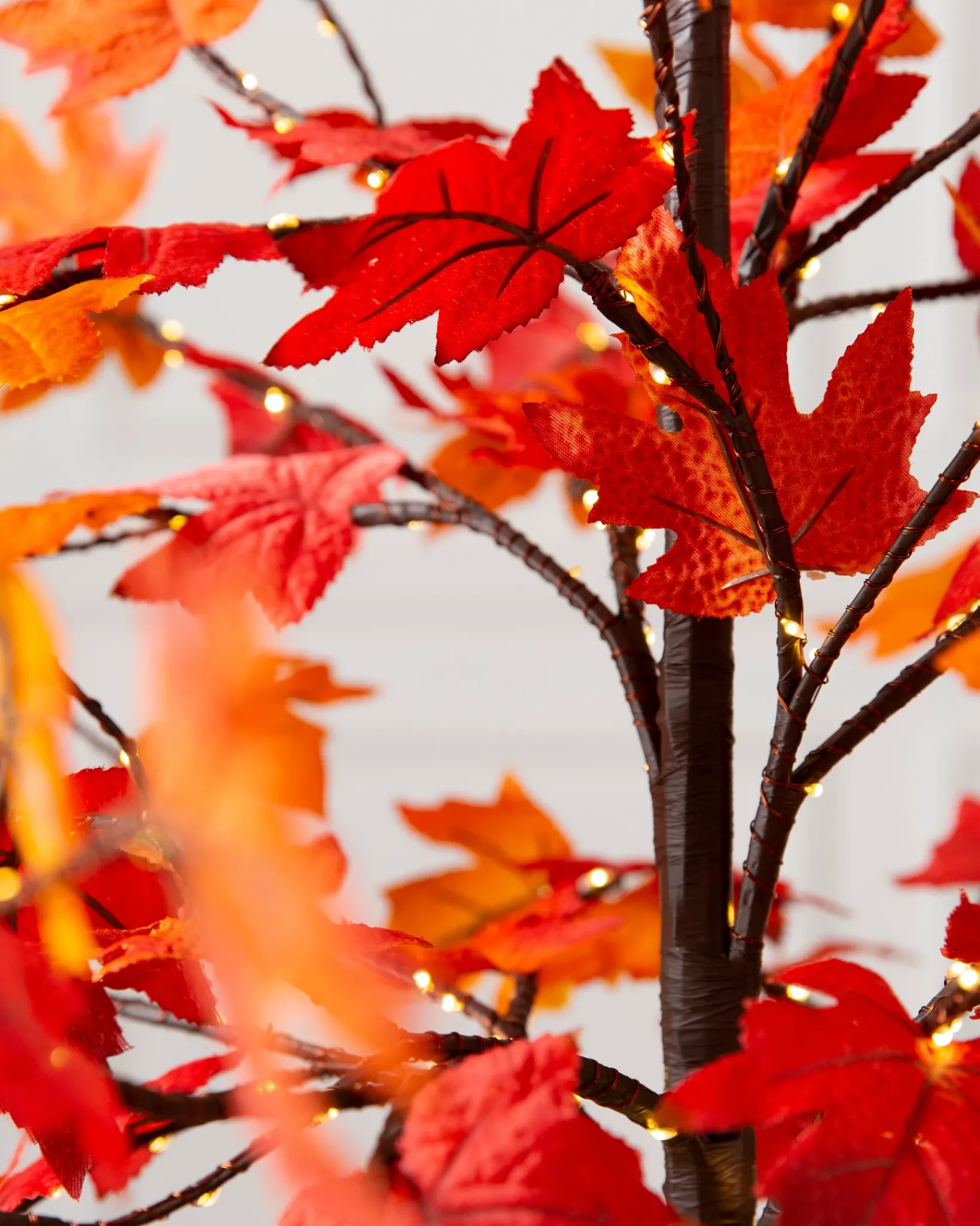 Outlet Outdoor LED Lit Autumn Maple Trees Decorative Accents|Outdoor Safe