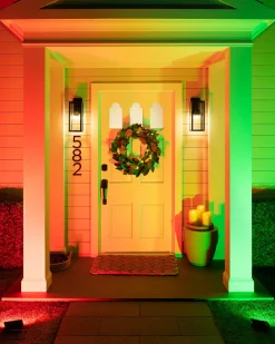 Online Outdoor LED Multicolor Flood Lights Decorative Accents|Outdoor Safe