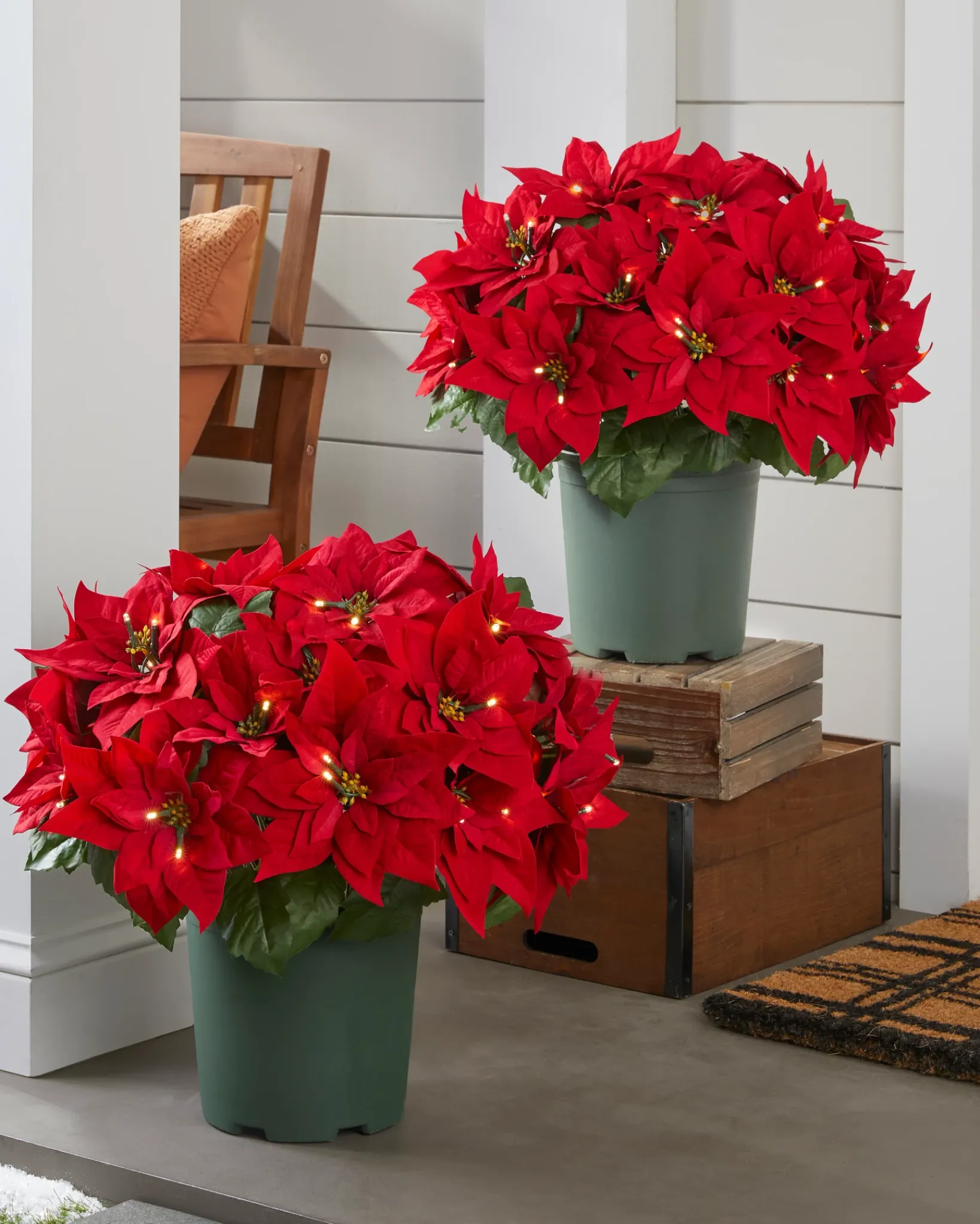 Clearance Outdoor Lit Poinsettia Celebration Foliage 18 - 24 Inch|26 - 28 Inch