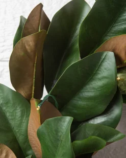 Hot Outdoor Magnolia Leaves Foliage Outdoor Safe|Garlands