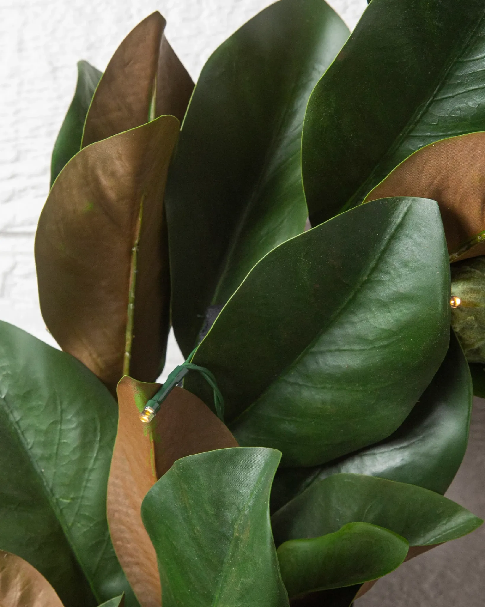 Hot Outdoor Magnolia Leaves Foliage Outdoor Safe|Garlands