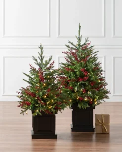 Clearance Outdoor Red Berry Evergreen Potted Trees Outdoor Safe