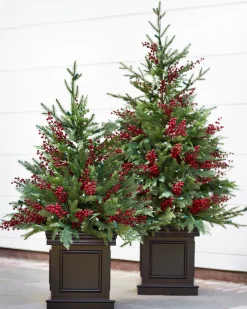 Clearance Outdoor Red Berry Evergreen Potted Trees Outdoor Safe