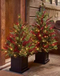 Clearance Outdoor Red Berry Evergreen Potted Trees Outdoor Safe
