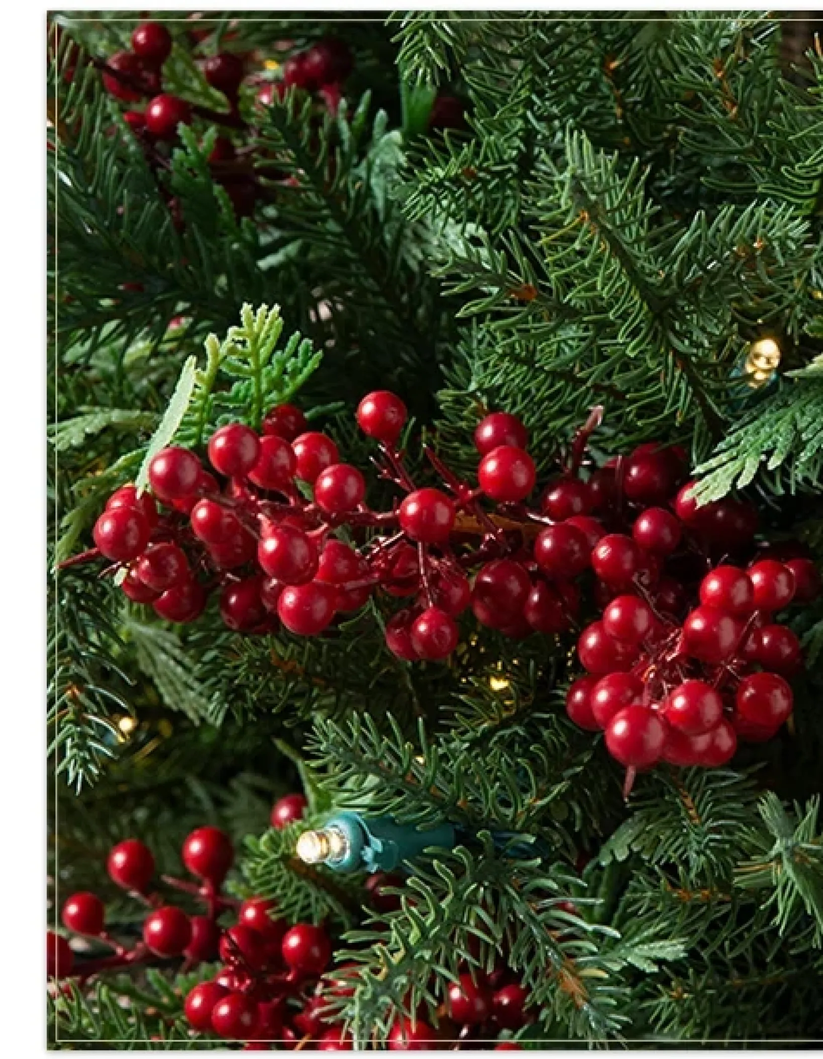 Clearance Outdoor Red Berry Evergreen Potted Trees Outdoor Safe