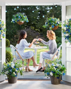 Best Outdoor Seaside Cottage Foliage Wreaths|Swags & Hanging Baskets