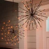 Outdoor Starburst Lights Outdoor Lights|Decorative Accents