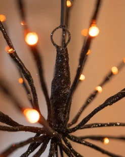 Outdoor Starburst Lights Outdoor Lights|Decorative Accents