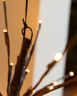 Outdoor Starburst Lights Outdoor Lights|Decorative Accents
