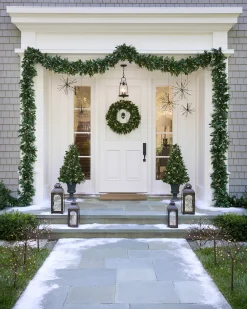 Outdoor Starburst Lights Outdoor Lights|Decorative Accents
