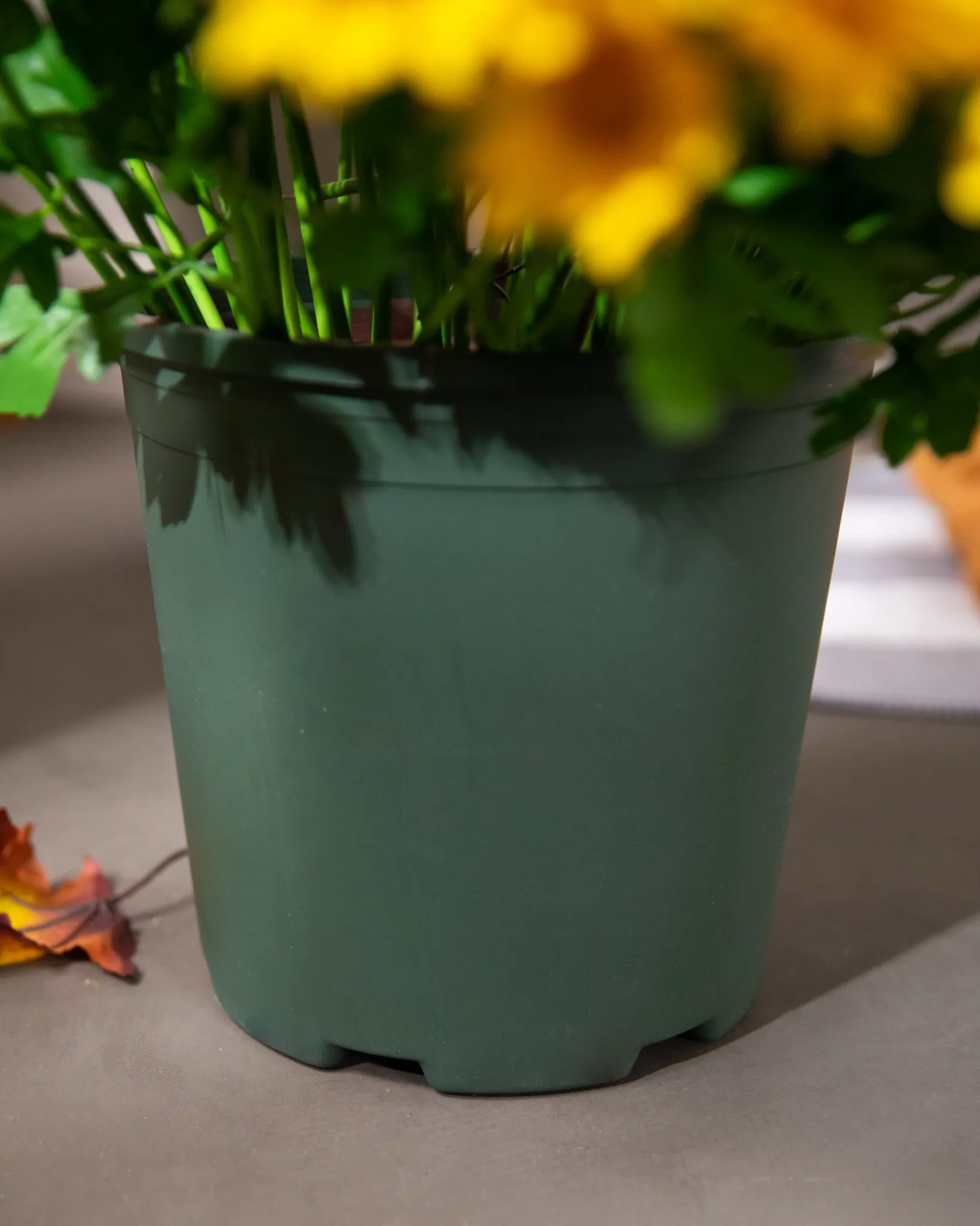 Outdoor Sunset Mums Foliage Garlands|Outdoor Safe