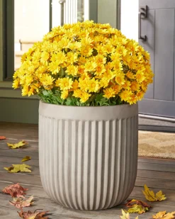 Outdoor Sunset Mums Foliage Garlands|Outdoor Safe