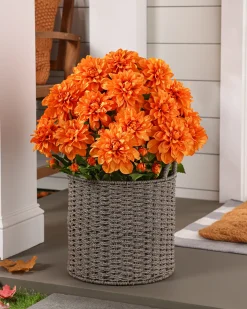 Clearance Outdoor Vibrant Dahlias Foliage Topiaries & Potted Flowers|Topiaries & Potted Flowers