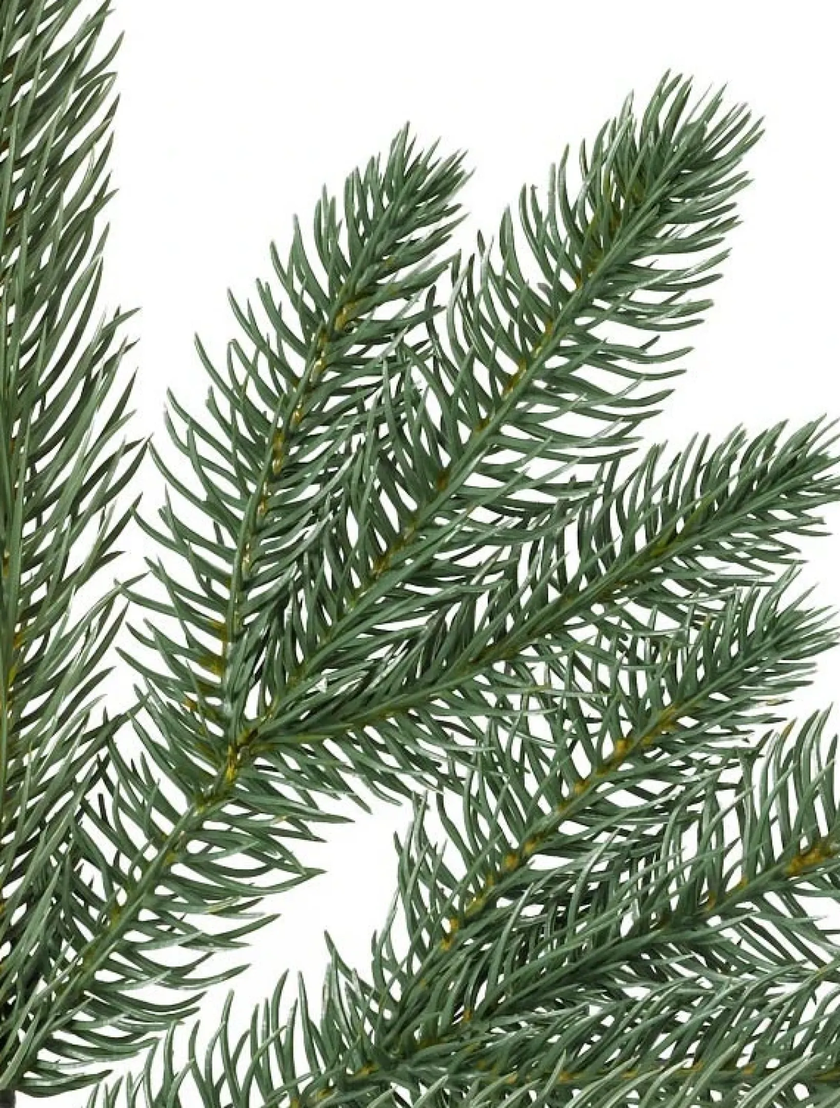 Best Park Avenue Corner Trees 7 - 7.5 Feet|Pre-Lit