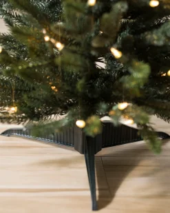 Best Poconos Pine Mini Trees Tabletop & Accent Trees